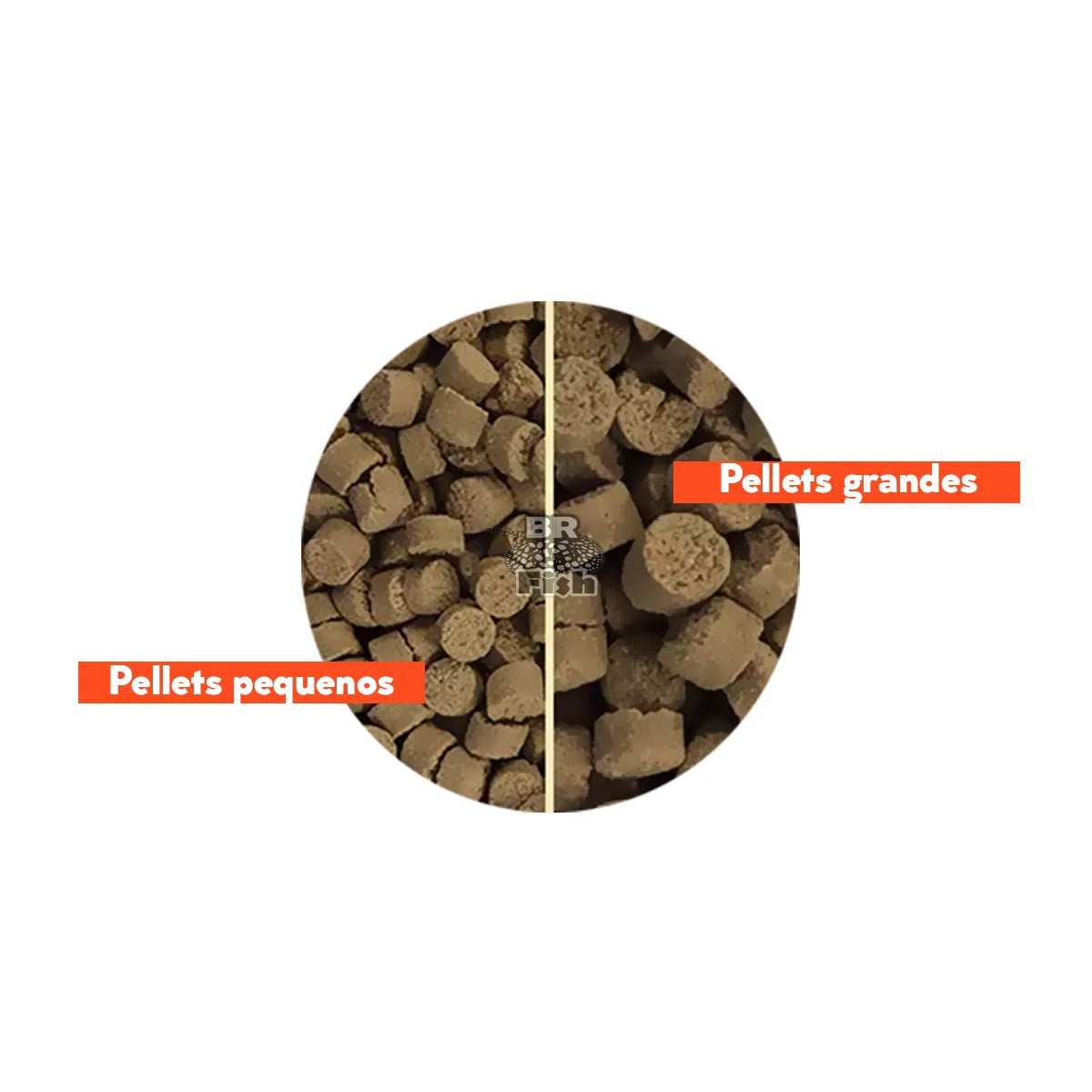 Ração Poytara Carnívoros De Fundo Pellets Grandes Bag 1,2Kg