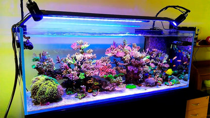Bomba Submersa Ocean Tech Ac-4000 L/h 35w Aquario Lago 110v