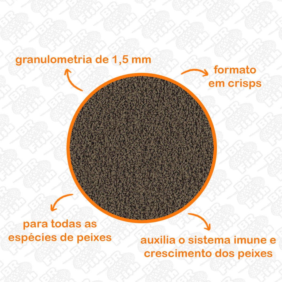 Kit 2 Ração Poytara Garlic E Immunity Black Line Peixes 90g