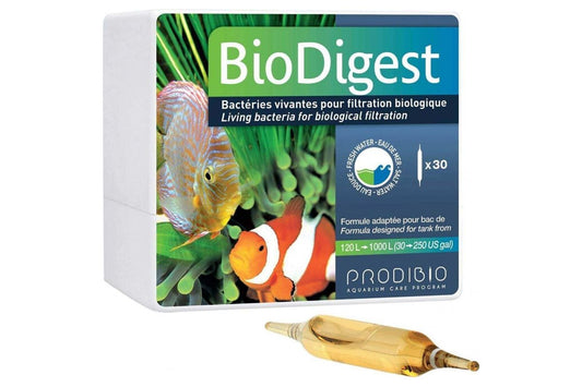 Prodibio Biodigest 20 Bilhões Bacterias Viva Granel 1 Ampola