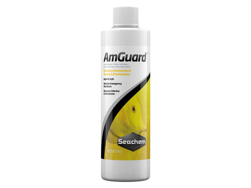 Seachem Amguard Am Guard 250ml Removedor Am Guard Amonia